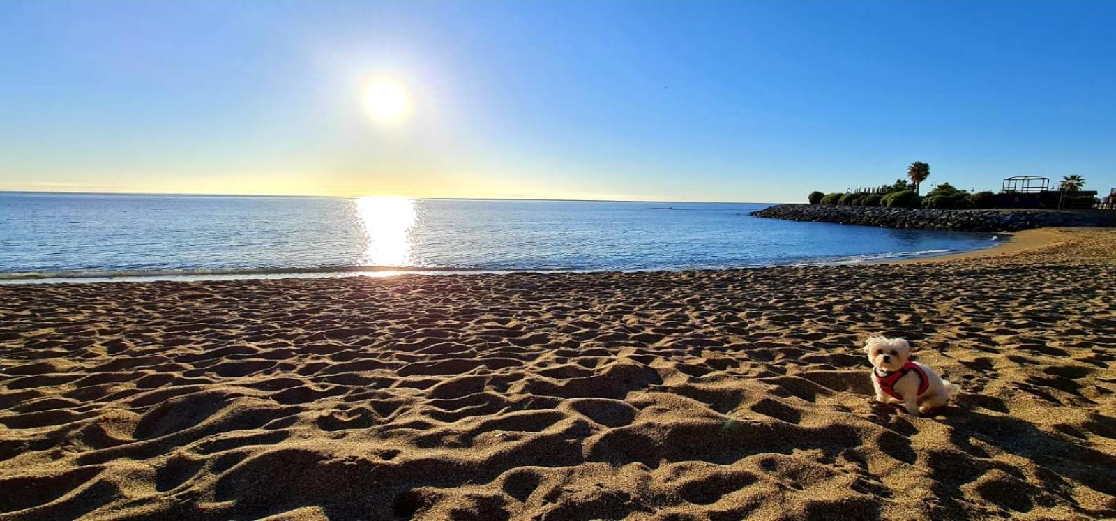 Apartamentos Magic Benalbeach By Benalnova Benalmádena Εξωτερικό φωτογραφία